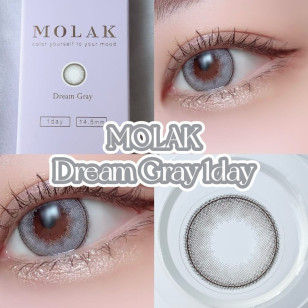 MOLAK 1day Dream Gray モラクワンデー ドリームグレー